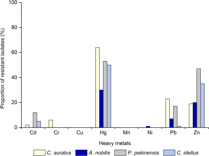 Virulence, antimicrobial and heavy metal tolerance, and diversity of Vibrio cholerae recovered from commonly consumed freshwater fish | SpringerLink