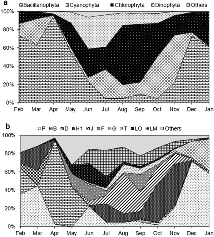 PDF) Seasonal succession of zooplankton taxonomic group