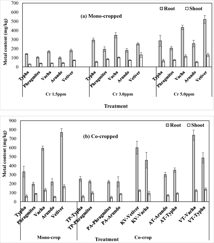 Chromium Removal Efficiency Of Plant Microbe And Media In Experimental Vssf Constructed Wetlands Under Monocropped And Co Cropped Conditions Springerlink