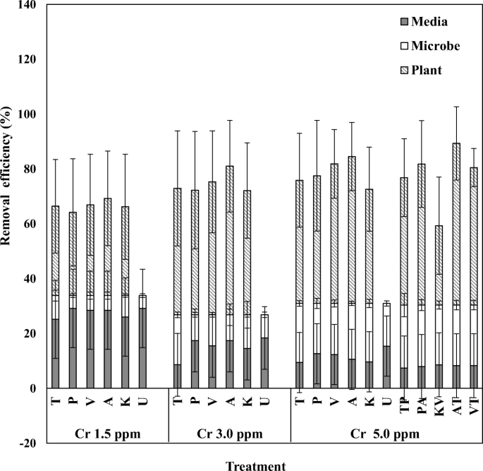 Chromium Removal Efficiency Of Plant Microbe And Media In Experimental Vssf Constructed Wetlands Under Monocropped And Co Cropped Conditions Springerlink