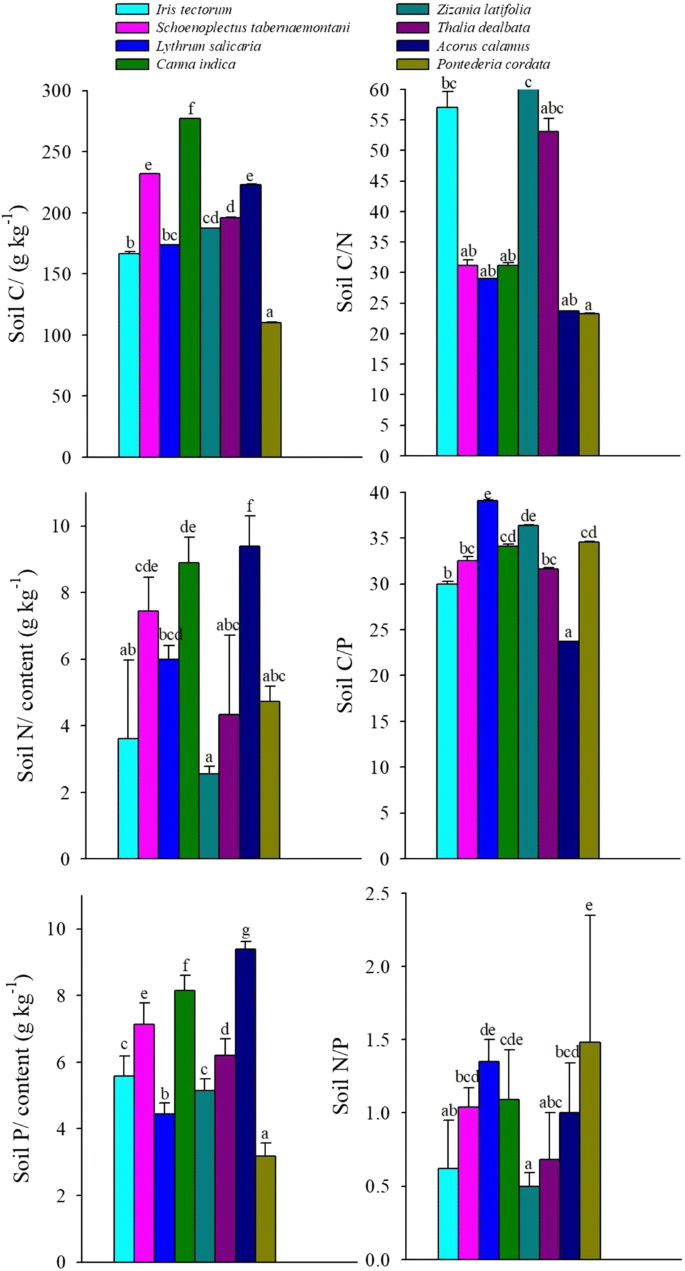 C N And P Stoichiometry And Their Interaction With Different Plant Communities And Soils In Subtropical Riparian Wetlands Springerlink