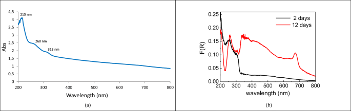 Using Diffuse Reflectance Spectroscopy Drs Technique For Studying Biofilm Formation On Ldpe And Pet Surfaces Laboratory And Field Experiments Springerlink