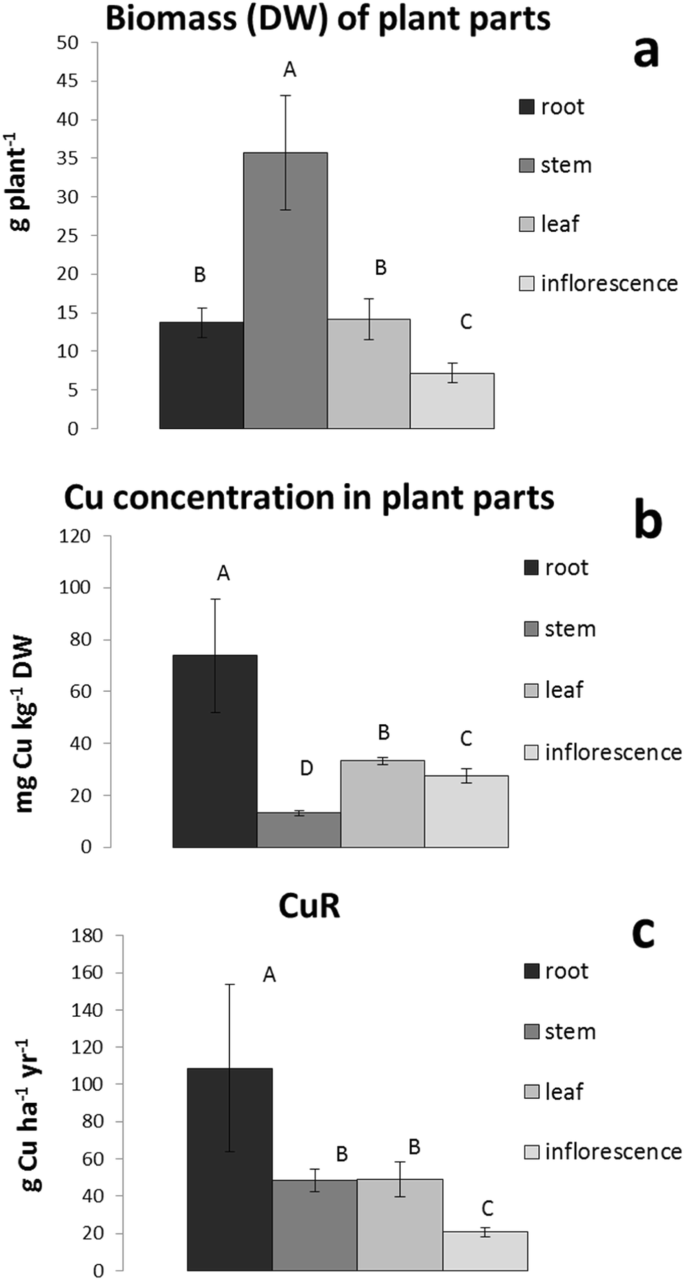 Field Evaluation Of One Cu Resistant Somaclonal Variant And Two Clones Of Tobacco For Copper Phytoextraction At A Wood Preservation Site Springerlink