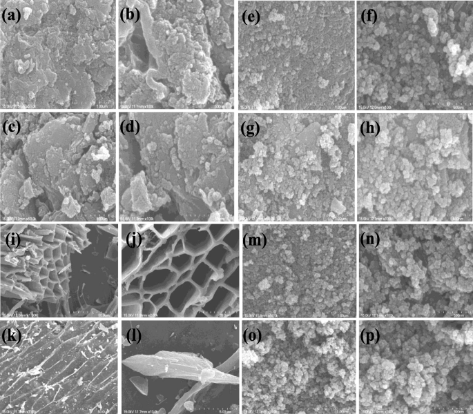 Synthesis And Characterization Of Magnetic Biochar Adsorbents For The Removal Of Cr Vi And Acid Orange 7 Dye From Aqueous Solution Springerlink