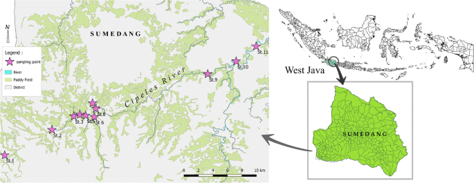 Distribution Source Identification And Assessment Of Heavy Metal Pollution In The Surface And Pore Waters Of Cipeles River West Java Indonesia Springerlink