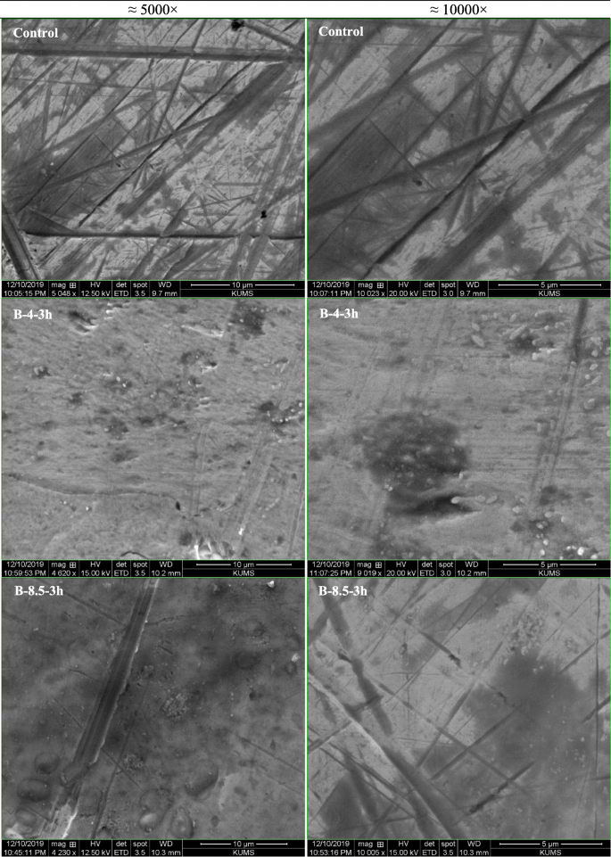 Pdf Ceramic Tio2 Foams Characterisation Of A Potential Scaffold