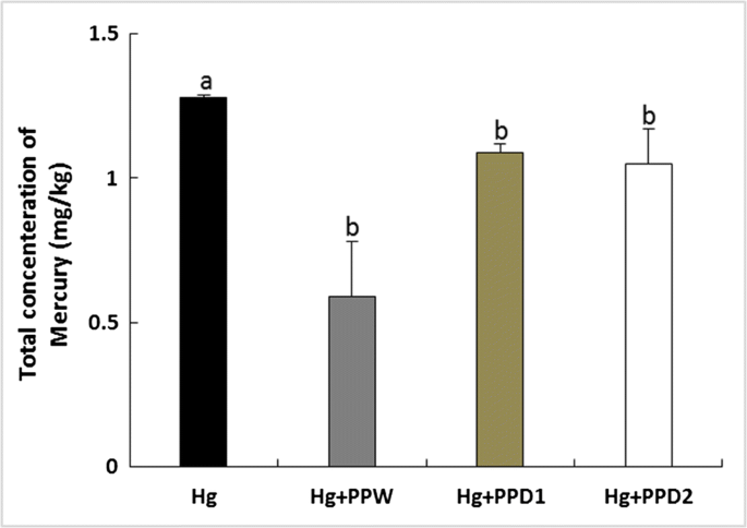 Bioremediation Effect Of Pomegranate Peel On Subchronic Mercury Immunotoxicity On African Catfish Clarias Gariepinus Springerlink