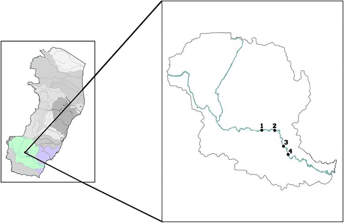 Water assessment of the Itapemirim River/Espírito Santo (Brazil): abiotic  and toxicogenetic aspects | SpringerLink