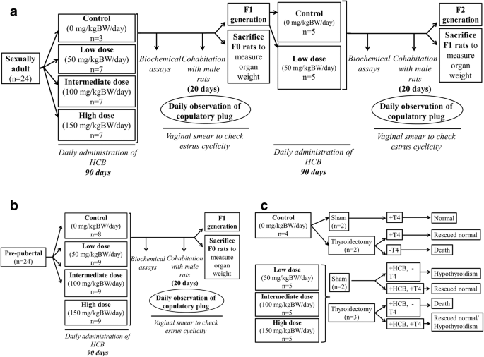 Hexachlorobenzene A Pollutant In Hypothyroidism And Reproductive Aberrations A Perceptive Transgenerational Study Springerlink