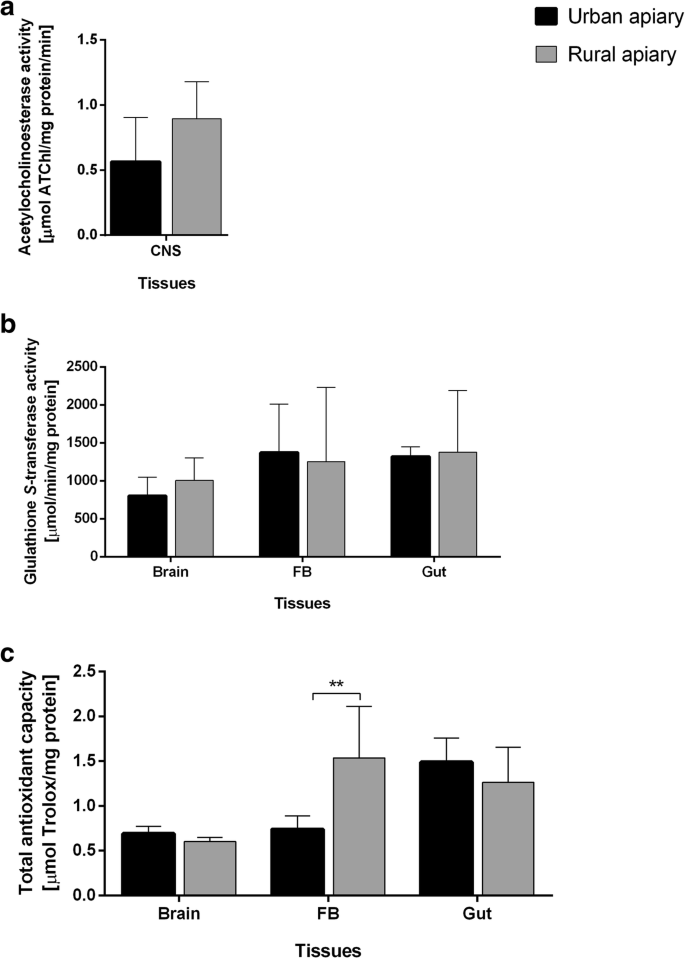 Set Of Stress Biomarkers As A Practical Tool In The Assessment Of Multistress Effect Using Honeybees From Urban And Rural Areas As A Model Organism A Pilot Study Springerlink