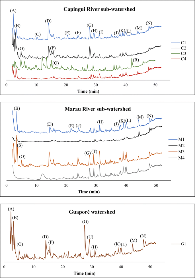 Organic Composition Of Epilithic Biofilms From Agricultural And Urban Watershed In South Brazil Springerlink