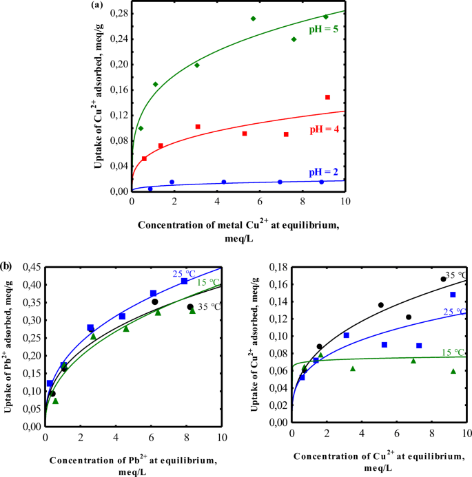 Understanding Mechanisms In The Adsorption Of Lead And Copper Ions On Chili Seed Waste In Single And Multicomponent Systems A Combined Experimental And Computational Study Springerlink