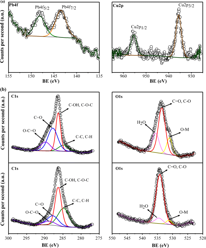 Understanding Mechanisms In The Adsorption Of Lead And Copper Ions On Chili Seed Waste In Single And Multicomponent Systems A Combined Experimental And Computational Study Springerlink