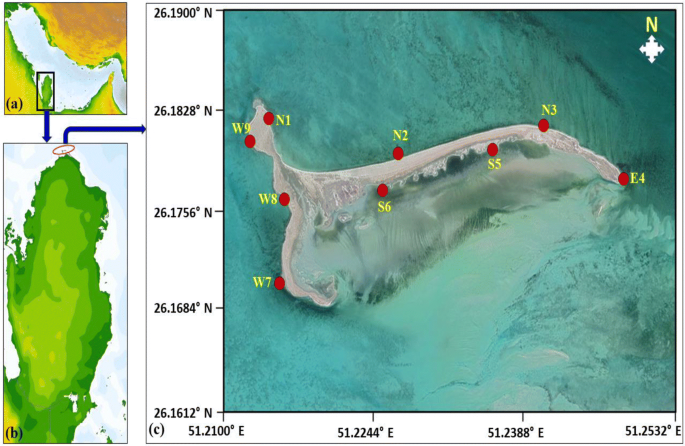 Factors Influencing The Vertical Distribution Of Microplastics In The Beach Sediments Around The Ras Rakan Island Qatar Springerlink
