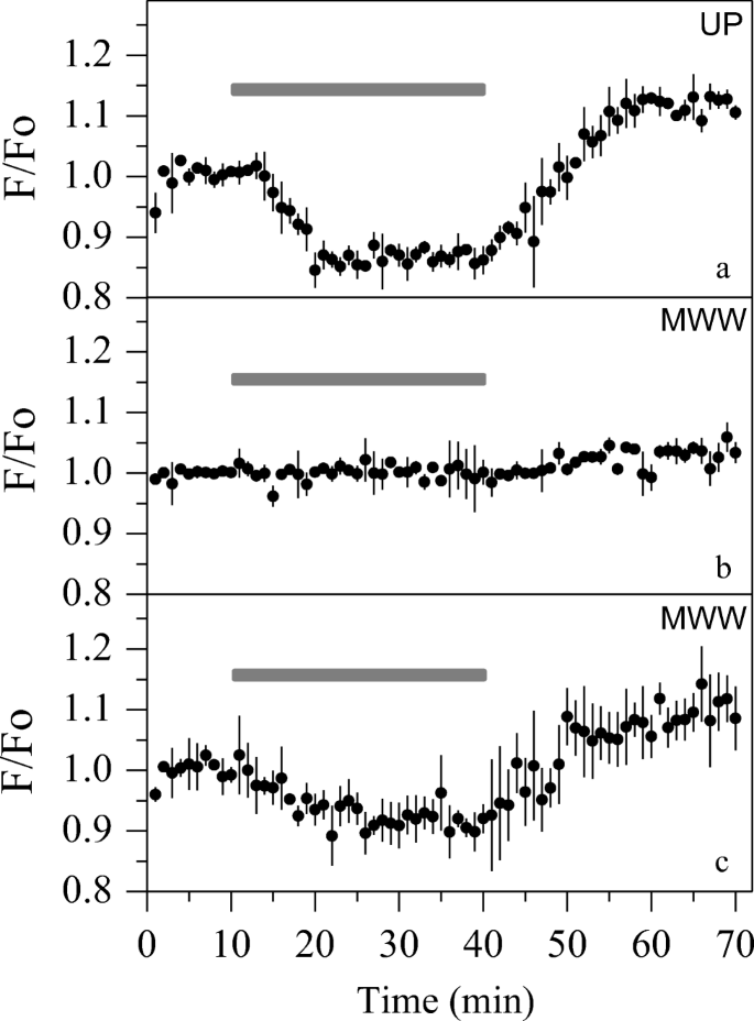 Electrochemical Degradation Of Psychotropic Pharmaceutical Compounds From Municipal Wastewater And Neurotoxicity Evaluations Springerlink