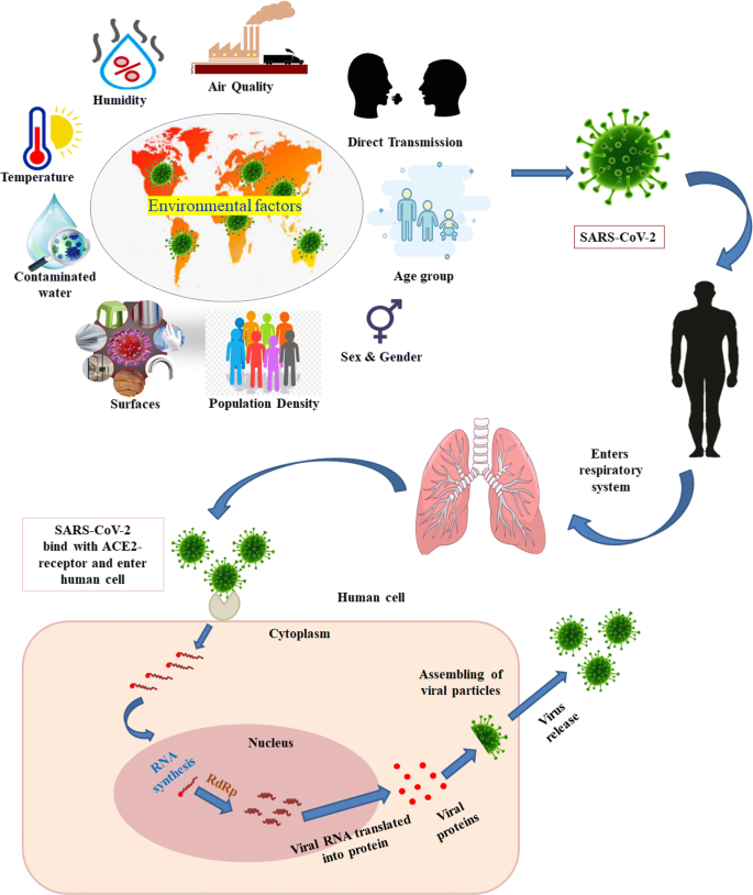 Host and Environmental Factors Influencing Individual Human