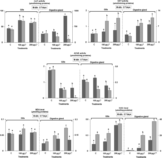 Effects Of Au Tio 2 Metallic Nanoparticles On Unio Ravoisieri Assessment Through An Oxidative Stress And Toxicity Biomarkers Springerlink
