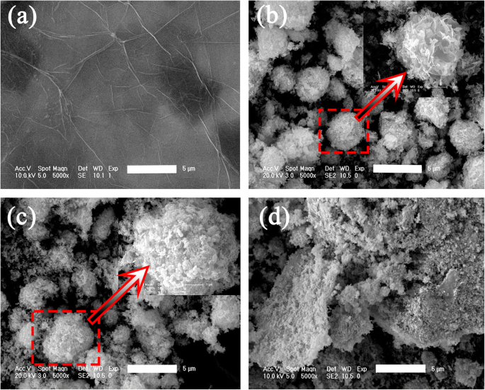 Synthesis Of Efficient Y Bi 2 Wo 6 G Visible Light Photocatalysts With High Stability For Pollutant Degradation Springerlink