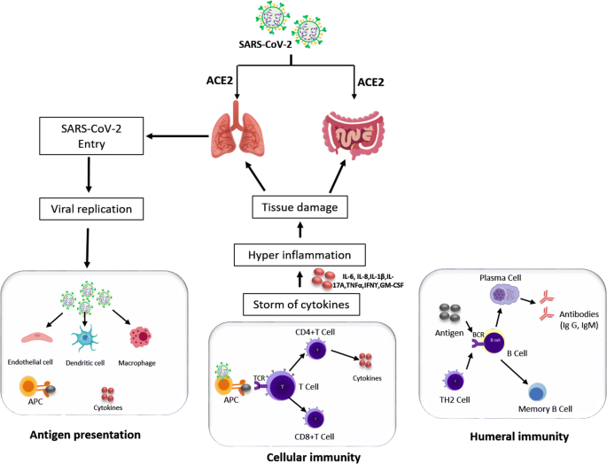 Covid 19 Pathogenesis Advances In Treatment And Vaccine Development And Environmental Impact An Updated Review Springerlink