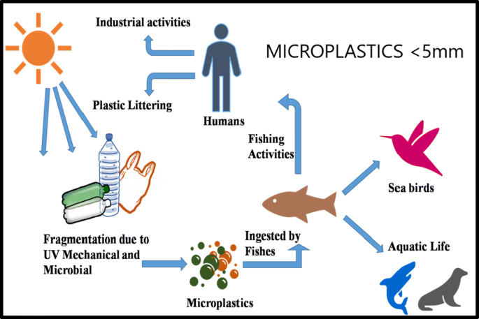 Effect of microplastics in water and aquatic systems | SpringerLink
