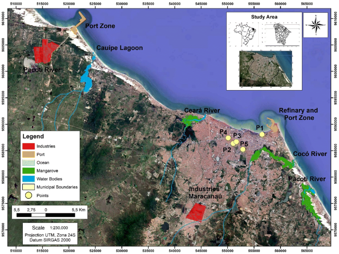 Influence of the seasonality and of urban variables in the BTEX and PM 2.5  atmospheric levels and risks to human health in a tropical coastal city ( Fortaleza, CE, Brazil) | SpringerLink