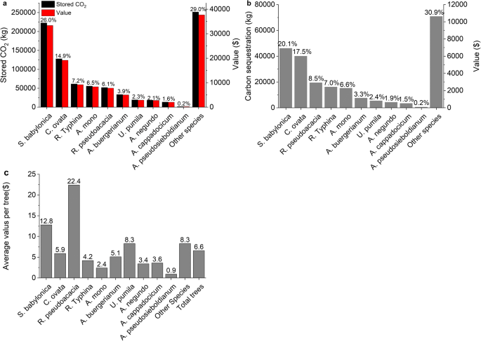 Urban Trees In University Campus Structure Function And Ecological Values Springerlink
