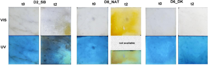 Deterioration and discoloration of historical protective treatments on  marble | SpringerLink