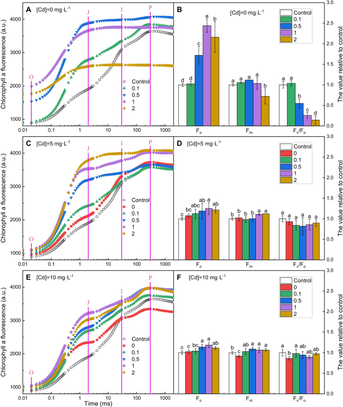Phytotoxicity Of Atrazine Combined With Cadmium On Photosynthetic Apparatus Of The Emergent Plant Species Iris Pseudacorus Springerlink