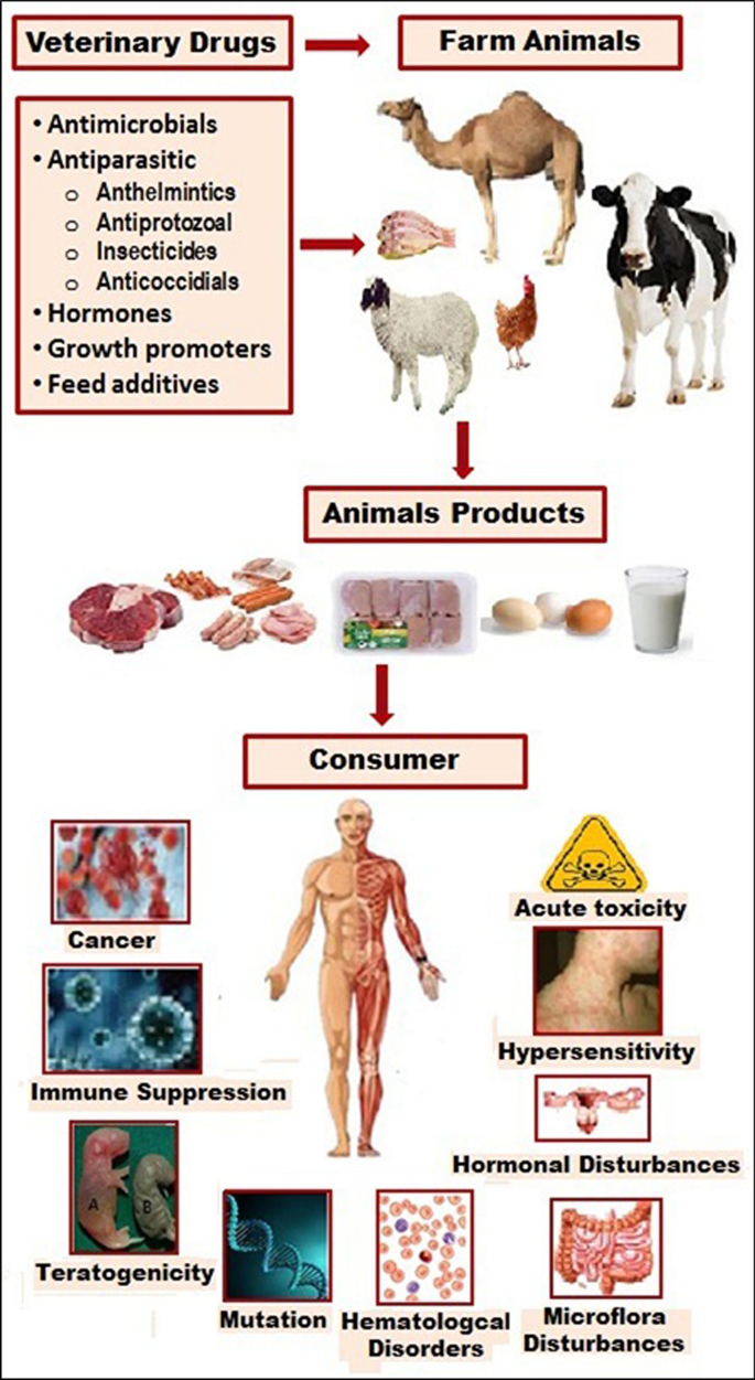 Complex Vitamin B Injection,Nutritional drugs,Bullvet,Bullvet