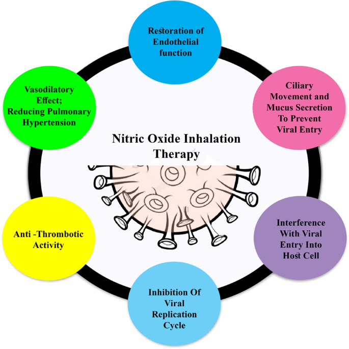 Critical role of nitric oxide in impeding COVID-19 transmission and  prevention: a promising possibility | SpringerLink