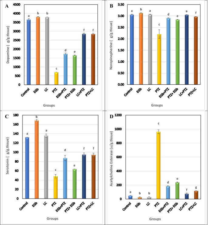 ginkgo biloba and acetyl l carnitine Anti-kindling effect of Ginkgo biloba leaf extract and L-carnitine in the  pentylenetetrazol model of epilepsy | Environmental Science and Pollution  Research