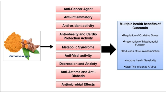 Multiple health benefits of curcumin and its therapeutic potential | Environmental Science and Pollution Research