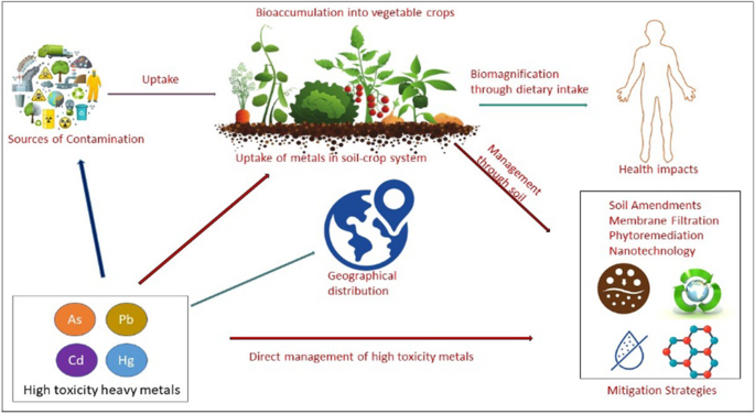 literature review on heavy metals in vegetables