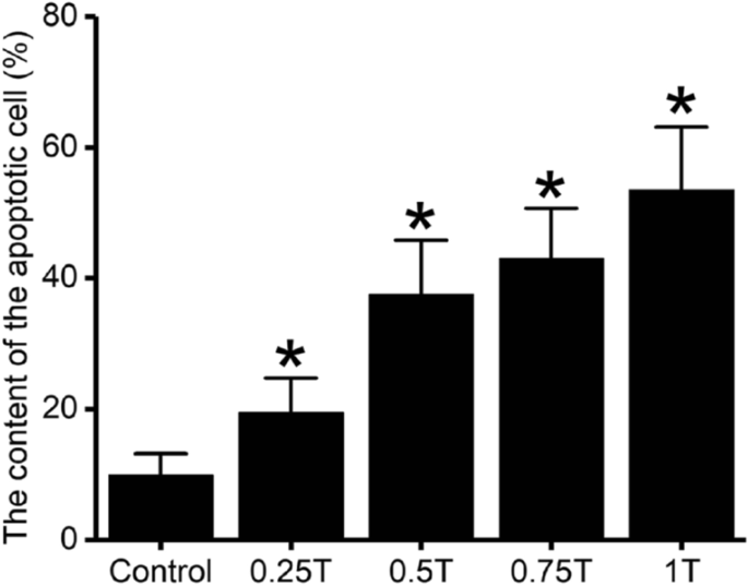 Impact on the antioxidant system, histology, and cell death of