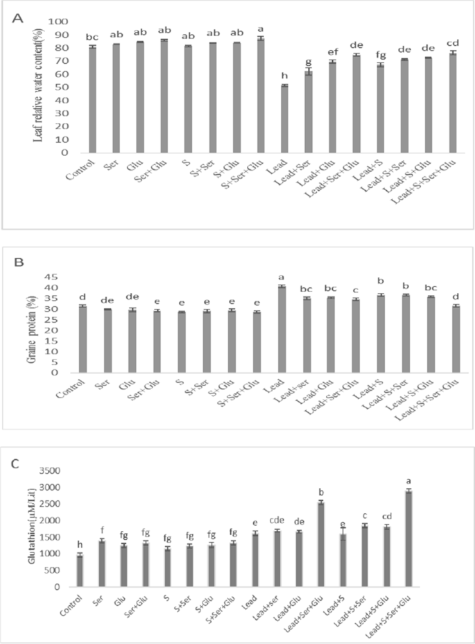 Reduction of lead toxicity effects and enhancing the glutathione reservoir  in green beans through spraying sulfur and serine and glutamine amino acids  | Environmental Science and Pollution Research
