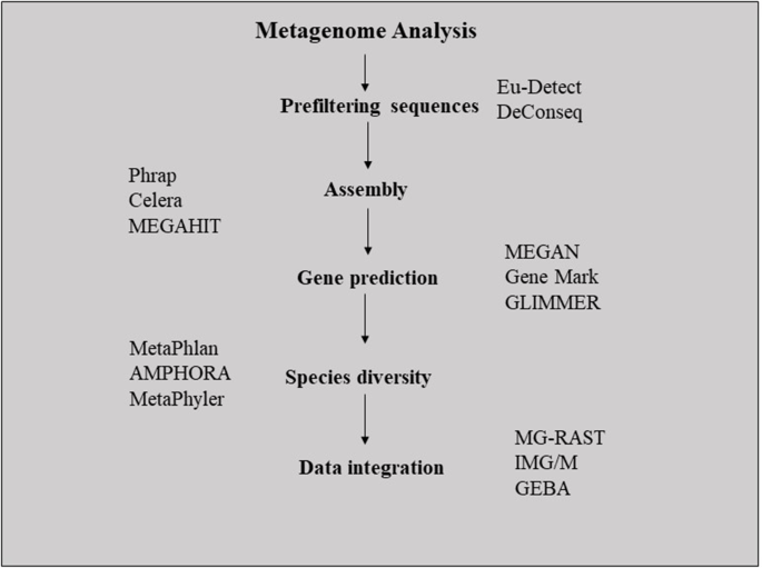 Discovering untapped microbial communities through metagenomics for  microplastic remediation: recent advances, challenges, and way forward |  SpringerLink