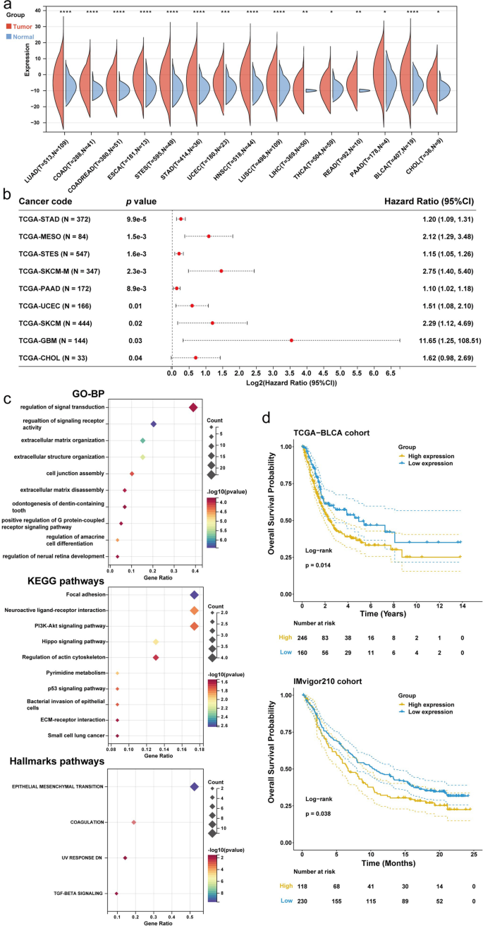 tobacco transformation index Development and validation of a tobacco smoking-related index for  predicting overall survival and immunotherapy response in bladder cancer |  Environmental Science and Pollution Research