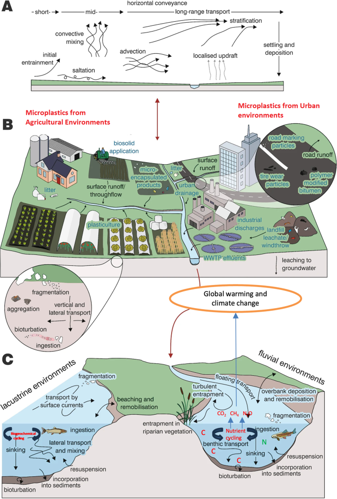 Microplastic pollutants in terrestrial and aquatic environment |  Environmental Science and Pollution Research
