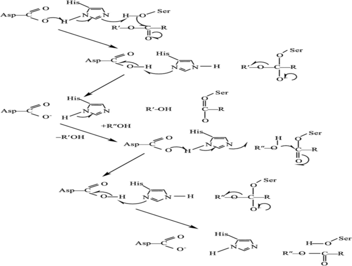 biodiesel production research papers figure 10