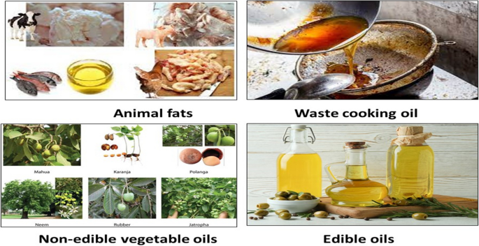 biodiesel production research papers figure 1