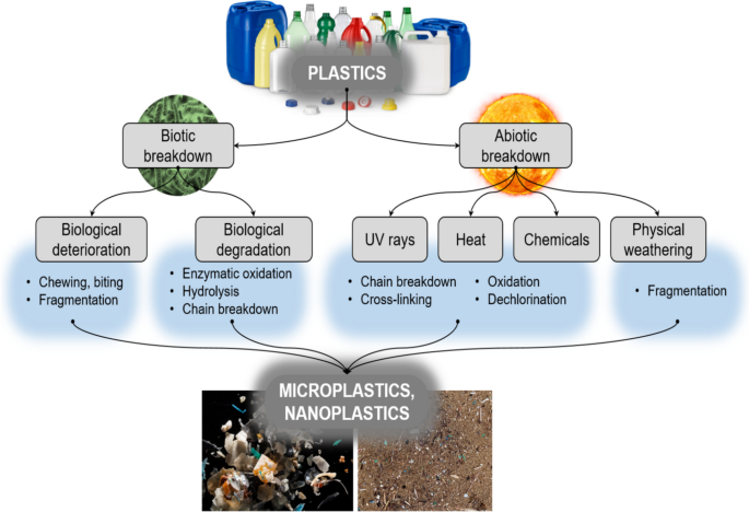 research paper on ocean pollution figure 3