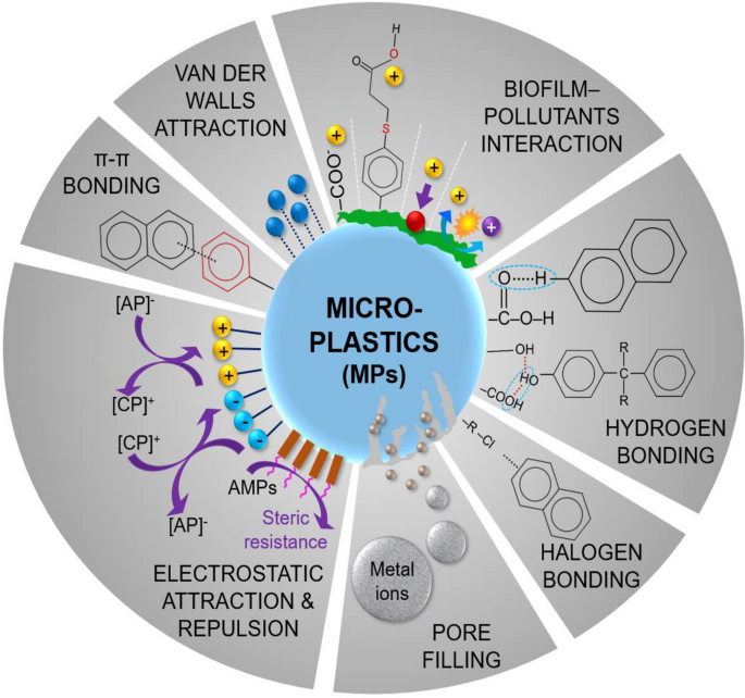 research paper on ocean pollution figure 4