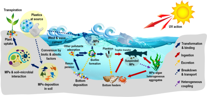 research paper on ocean pollution figure 6