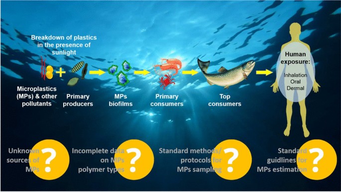 research paper on ocean pollution