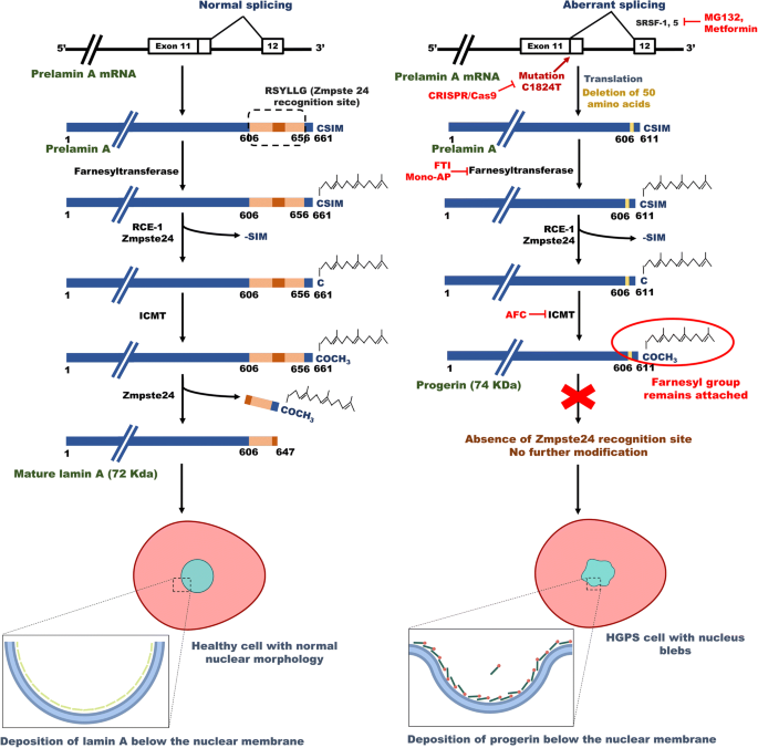Pharmacotherapy To Gene Editing Potential Therapeutic Approaches