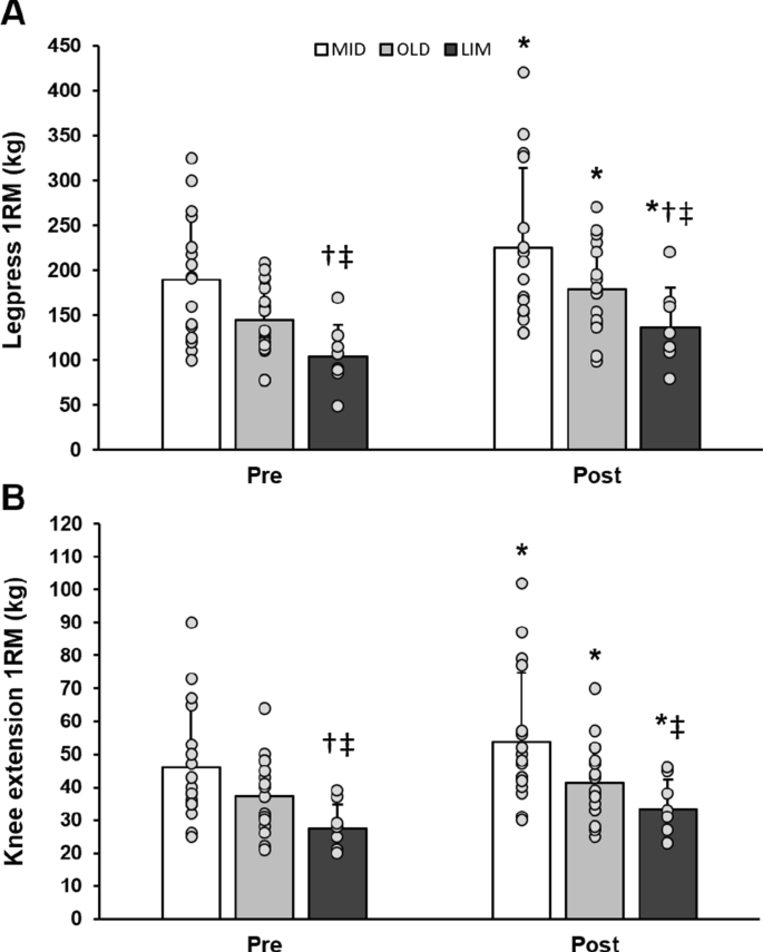 PDF) Influence of a periodized circuit training protocol on intermuscular  adipose tissue of patients with knee osteoarthritis: Protocol for a  randomized controlled trial