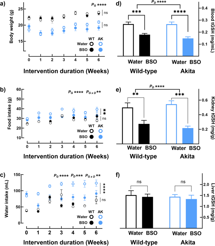 An antireductant approach ameliorates misfolded proinsulin-induced  hyperglycemia and glucose intolerance in male Akita mice | GeroScience