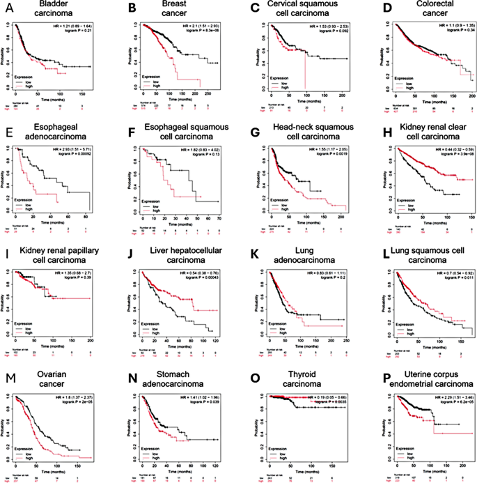 Prognostic impact of glucagon-like peptide-1 receptor (GLP1R) expression on  cancer survival and its implications for GLP-1R agonist therapy: an  integrative analysis across multiple tumor types | GeroScience