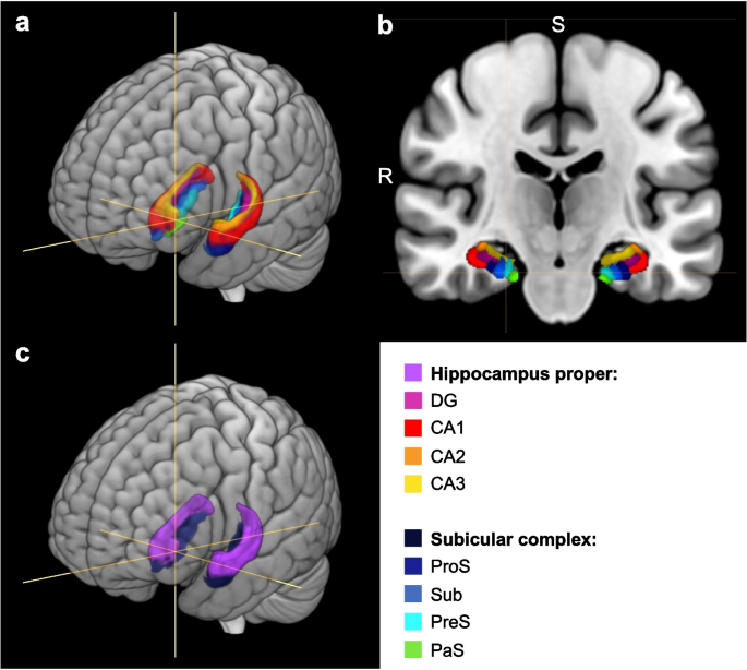 Bilingualism and “brain reserve” in subregions of the hippocampal ...