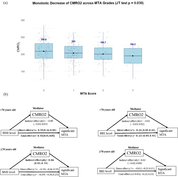 Life-course body shape trajectories and cerebral oxygen metabolism in ...